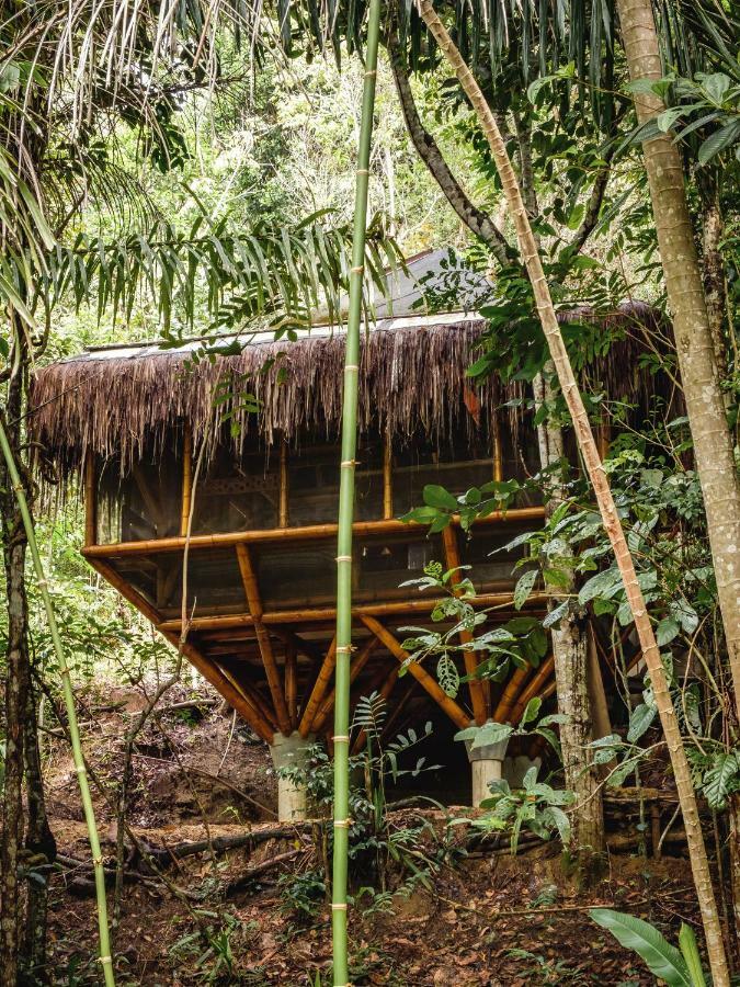 Universo Pol Bamboo Hostel Morro de São Paulo Zewnętrze zdjęcie